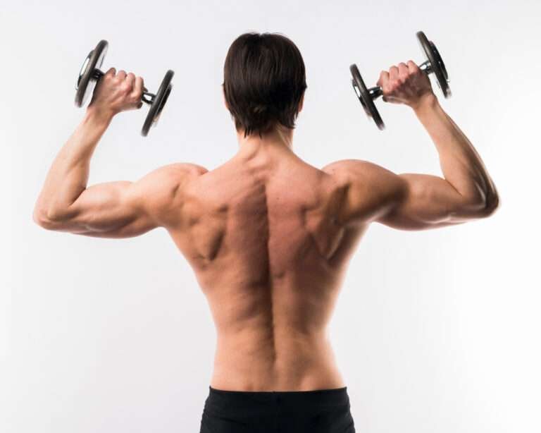 Comprehensive Guide to Back Exercises with Dumbbells
